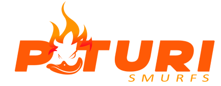 Paturi Logo
